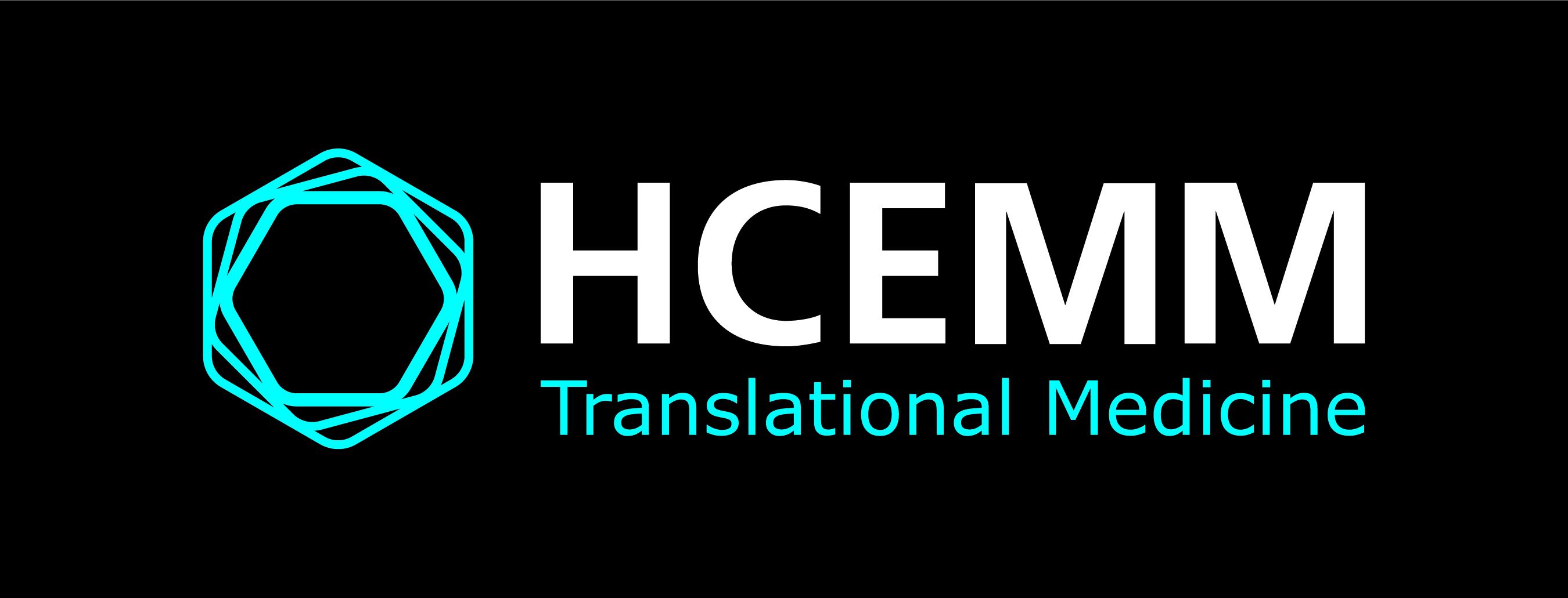HCEMM Logo